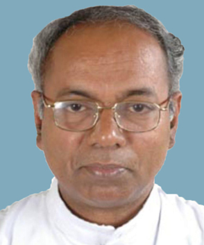 Rev. Fr Joseph Valiyathazhathu CMI (69)